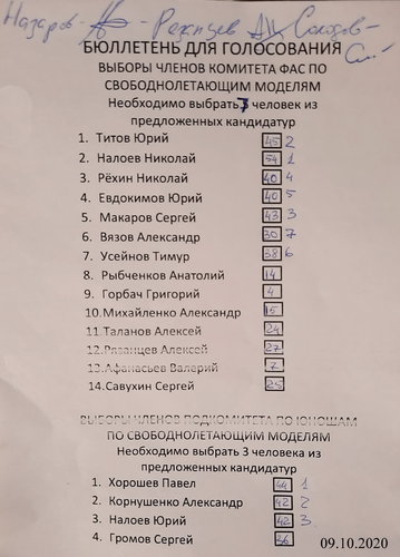 Протокол голосования по выборам комитета ФАС 2020.jpg